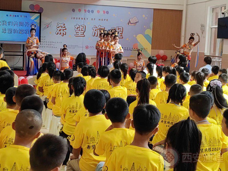 2024“服务有需要的儿童和家庭”服务学